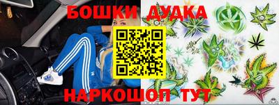 прущие грибы Нальчик