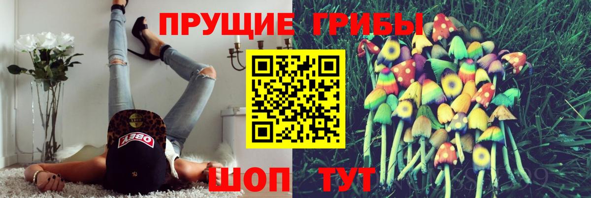 Саранск  Галлюциногенные грибы Psilocybe  Вход с VPN  Галлюциногенные грибы ЛСД 